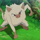 Pokemon GO: Neue Glitch-Entdeckung mit einem Ninja Mankey Creo Gaming