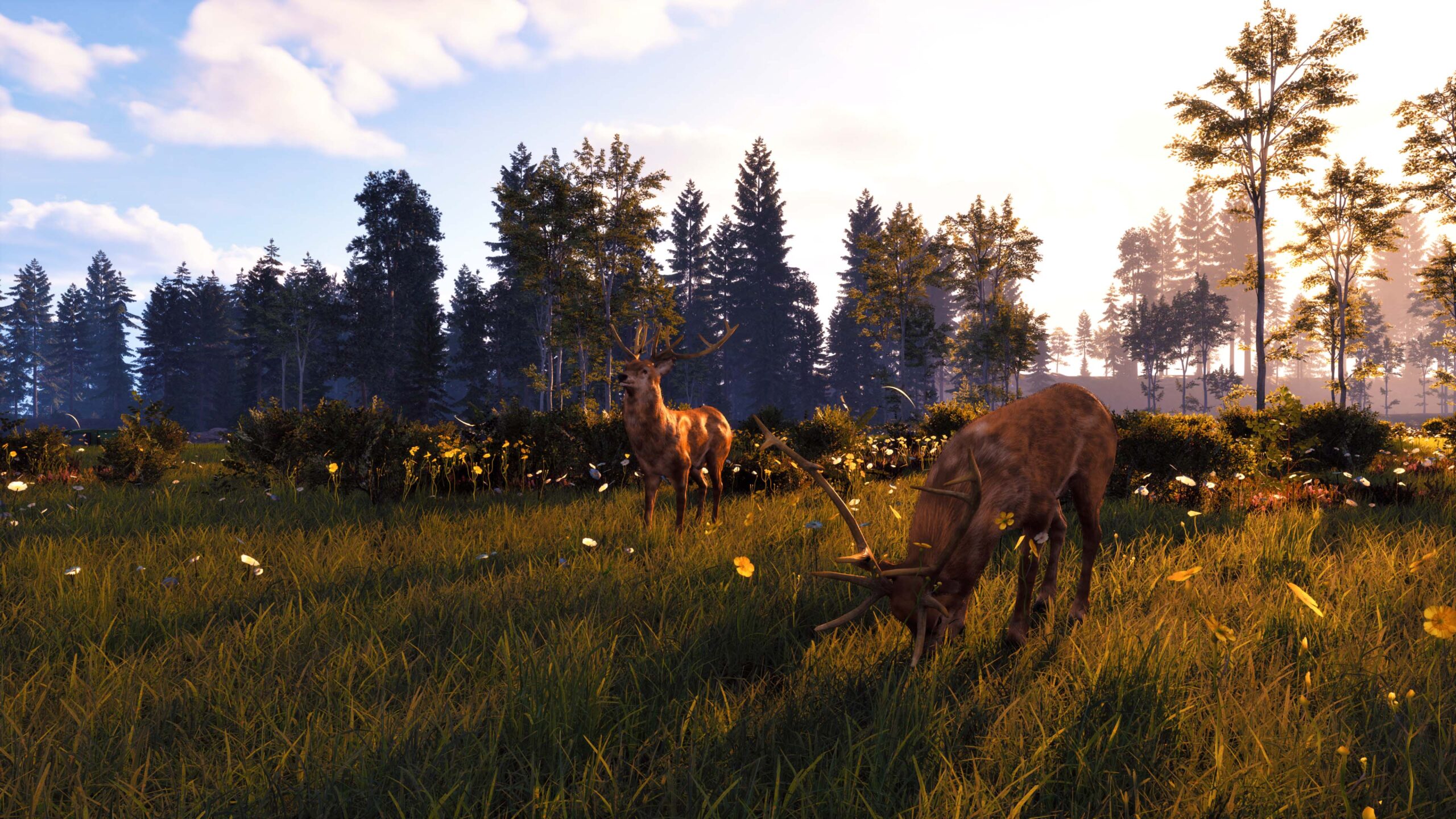 WSGR-Screenshot