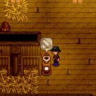 Wie man in Stardew Valley Stoff bekommt: Wichtige Tipps und Ratschläge How To Get Cloth In Stardew Valley