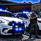 Sheriff-Patrouille in GTA 5 – Episode 195 von Mod Lspdfr Creo Gaming