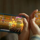 Pokemon Champions on Mobile devices