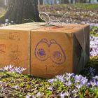 Pokémon GO May 2026 Events