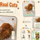 Handyspiel-Überraschung: Ein neues Katzen-Sammelspiel begeistert Pokémon-Go-Fans! Pokémon Go Fans Need To Try This Free Cat-Collecting Mobile Game