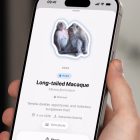 Tieranwendung: Zeichnen Sie jedes Tier auf, dem Sie begegnen, und erleben Sie ein fesselndes Abenteuer! What if Pokémon Go were real life? This app lets you log every animal you see in the real world
