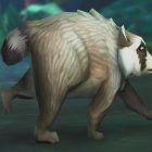 Jimothy the Viral Raccoon Joins Video Games Like World of Warcraft and RuneScape